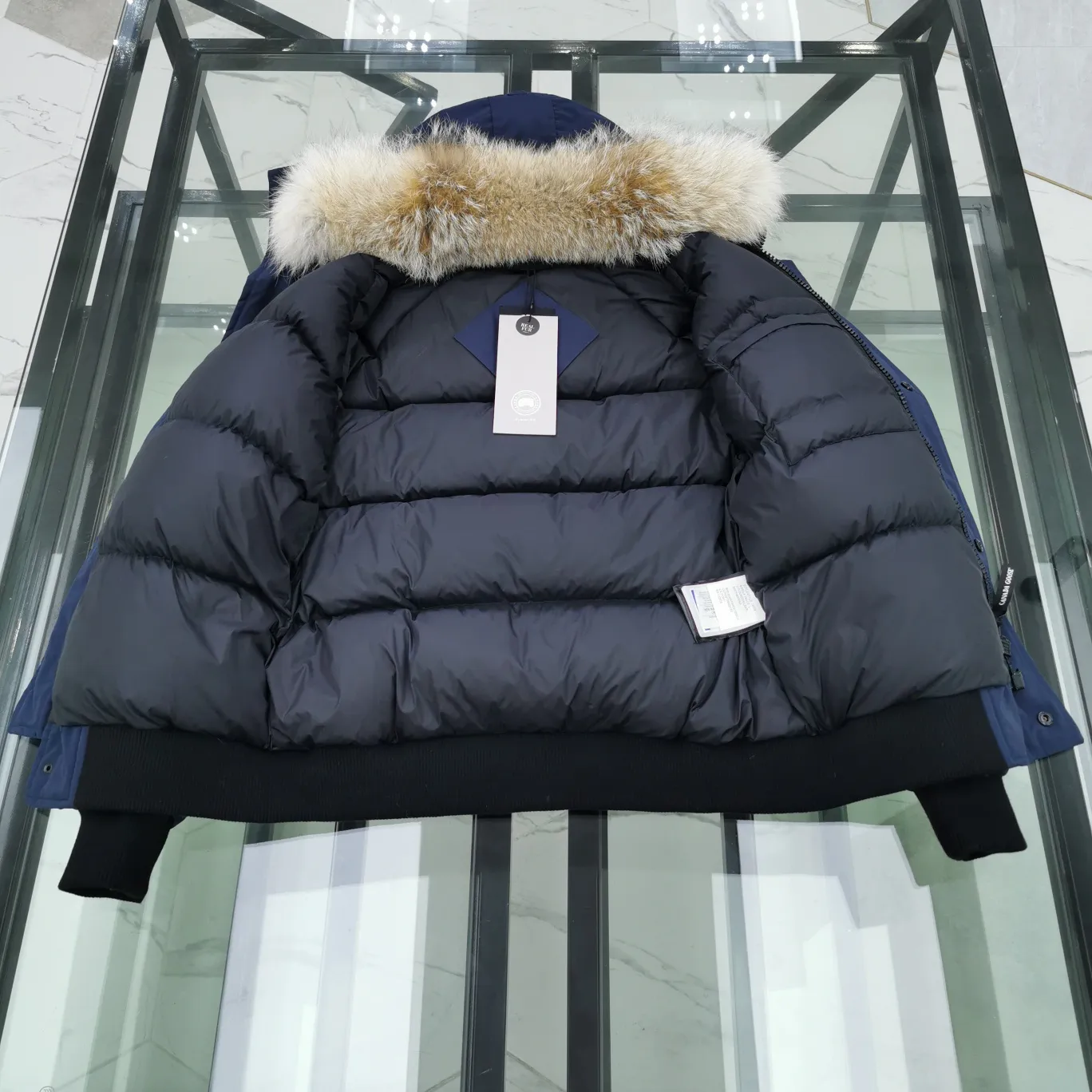 P720 01 model——Navy blue